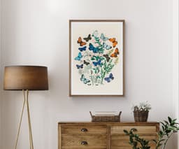 Vintage Butterfly Wall Art Print, European Butterflies Botanical Illustration, Nature Decor, Living Room, Fine Art Print 6