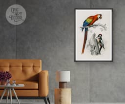 Vintage Bird Print, Red Macaw and Woodpecker, Charles D'Orbigny Colorful Tropical Parrot, Wall Art 7