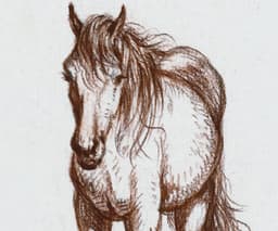 Vintage Horse Wall Art Print, Jean Bernard Standing Western Horse, Farmhouse Home Decor 3