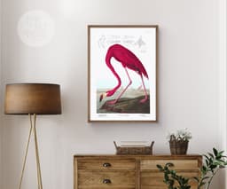 Pink Flamingo Print, Audubon Birds of America Illustration, Vintage Botanical Print for Wall 4