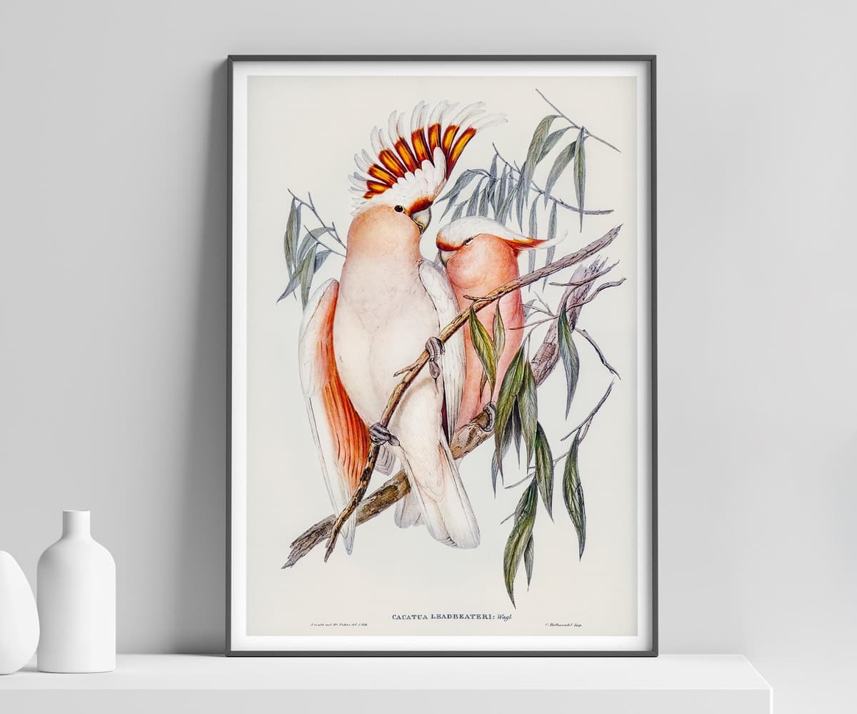 Bird Wall Art Print, Cockatoo Vintage Print for Garden Lovers, Housewarming Gift, Wildlife Illustration