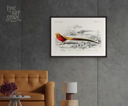 Bird wall art print, vintage faisan doré golden pheasant, charles d'orbigny french encyclopedia, tropical bird decor, giclée fine art print 7
