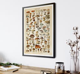 Mushroom Wall Art Print, Vintage Champignons Illustration, Adolphe Millot Fungi Poster, Kitchen Decor, Botanical Art, Giclée Fine Art Print 5
