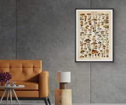 Mushroom Wall Art Print, Vintage Champignons Illustration, Adolphe Millot Fungi Poster, Kitchen Decor, Botanical Art, Giclée Fine Art Print 6