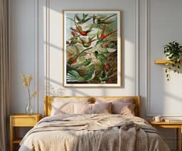Ernst Haeckel Colorful Birds Print, Vintage Tropical Wall Art, Living Room Decor Housewarming Gift 8