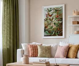 Ernst Haeckel Colorful Birds Print, Vintage Tropical Wall Art, Living Room Decor Housewarming Gift 5