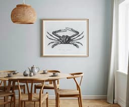 Vintage Crab Illustration Print, Charles D'Orbigny Marine Art, Black White Coastal Decor 8