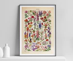 Floral Wall Art Print, Vintage Botanical Illustration, Adolphe Millot Flowers, Colourful Flower Decor, Giclée Fine Art Print 1