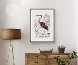 Heron Wall Art Print, Vintage Purple Heron Illustration, Charles Dessalines D'Orbigny 1892, Coastal Bird Decor, Giclée Fine Art Print 5
