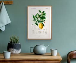Vintage Lemon Botanical Print, Citrus Wall Art, Yellow Kitchen Decor (Giclée Paper) 7