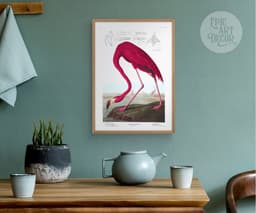 Pink Flamingo Print, Audubon Birds of America Illustration, Vintage Botanical Print for Wall 6