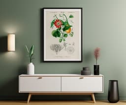 Botanical Wall Art Print, Passiflora Passion Fruit Flower, Vintage Floral Decor, Kitchen Art, Giclée 4
