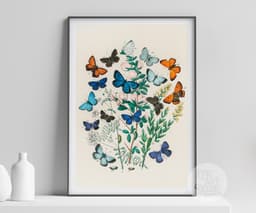 Vintage Butterfly Wall Art Print, European Butterflies Botanical Illustration, Nature Decor, Living Room, Fine Art Print 3