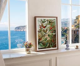 Ernst Haeckel Colorful Birds Print, Vintage Tropical Wall Art, Living Room Decor Housewarming Gift 10