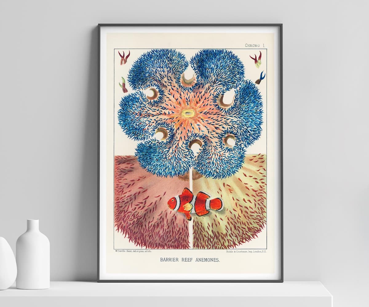 Ocean Wall Art Print, Barrier Reef Anemones by William Saville-Kent, Vintage Coastal Decor, Fine Art Print