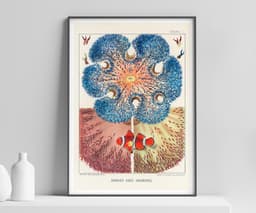 Ocean Wall Art Print, Barrier Reef Anemones by William Saville-Kent, Vintage Coastal Decor, Fine Art Print 1