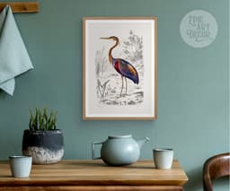 Heron Wall Art Print, Vintage Purple Heron Illustration, Charles Dessalines D'Orbigny 1892, Coastal Bird Decor, Giclée Fine Art Print 7
