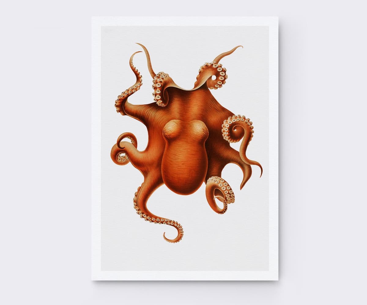 Octopus Wall Art Print, Vintage Marine Illustration, Coastal Ocean Decor (Giclée)