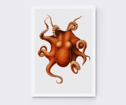 Octopus Wall Art Print, Vintage Marine Illustration, Coastal Ocean Decor (Giclée) 1