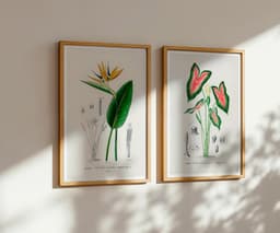Botanical print set of 2: Bird of Paradise & Elephant Ear Wall Art, Antique Flower Illustrations, D'Orbigny Vintage Decor 6