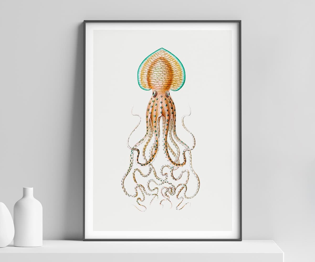 Squid Wall Art Print, Vintage Ernst Haeckel Illustration, Ocean Marine Decor, Coastal Wall Art, Bathroom Art, Giclée Fine Art Print