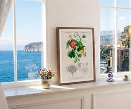 Botanical Wall Art Print, Passiflora Passion Fruit Flower, Vintage Floral Decor, Kitchen Art, Giclée 5