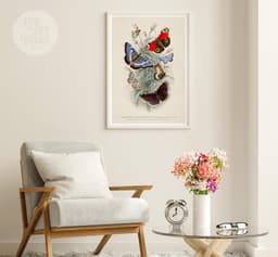 Butterfly Wall Art Print, 7 Species by Oliver Goldsmith 1820, Vintage Insect Illustration, Botanical Nature Decor, Giclée Fine Art Print 8