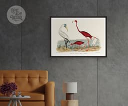 Vintage Bird Wall Art Print, Alexander Wilson's Ibis and Flamingo, Coastal Decor, Fine Art Print, Exotic Wildlife Illustration 7