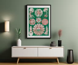 Jellyfish Wall Art Print, Vintage Ernst Haeckel Illustration, Ocean Marine Decor, Coastal Wall Art, Bathroom Art, Giclée Fine Art Print 4