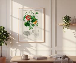 Botanical Wall Art Print, Passiflora Passion Fruit Flower, Vintage Floral Decor, Kitchen Art, Giclée 6