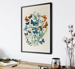 Vintage Butterfly Wall Art Print, European Butterflies Botanical Illustration, Nature Decor, Living Room, Fine Art Print 7