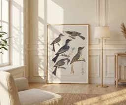 Vintage Bird Wall Art Print, Alexander Wilson, Classic Illustration, Living Room Wall Art, Fine Art Print - Five Birds with Eggs and Insect 5
