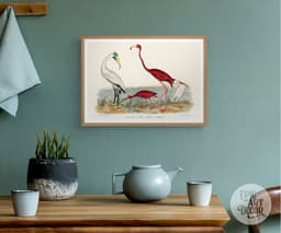 Vintage Bird Wall Art Print, Alexander Wilson's Ibis and Flamingo, Coastal Decor, Fine Art Print, Exotic Wildlife Illustration 6