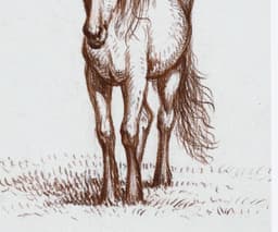 Vintage Horse Wall Art Print, Jean Bernard Standing Western Horse, Farmhouse Home Decor 4