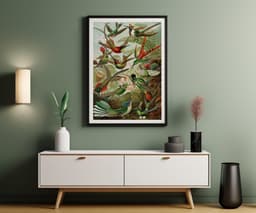 Ernst Haeckel Colorful Birds Print, Vintage Tropical Wall Art, Living Room Decor Housewarming Gift 4