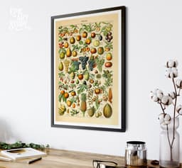 Vintage Fruit Botanical Print, Adolphe Millot Illustration, Kitchen Wall Art (Giclée) 7