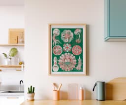Jellyfish Wall Art Print, Vintage Ernst Haeckel Illustration, Ocean Marine Decor, Coastal Wall Art, Bathroom Art, Giclée Fine Art Print 3