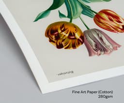 Vintage Tulipa Botanical Wall Art, Charles D'Orbigny Floral Print (Giclée) 5