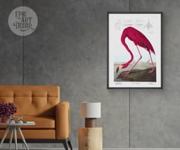 Pink Flamingo Print, Audubon Birds of America Illustration, Vintage Botanical Print for Wall 7