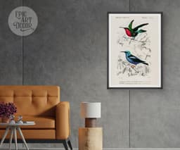 Hummingbird wall art print, vintage colibri illustration, tropical bird decor, charles d'orbigny french encyclopedia, giclée fine art print 7