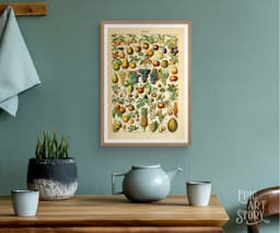Vintage Fruit Botanical Print, Adolphe Millot Illustration, Kitchen Wall Art (Giclée) 6