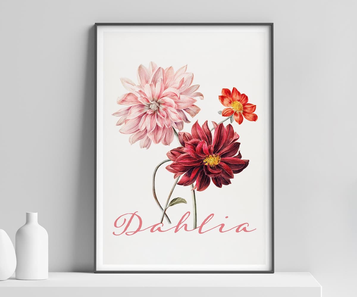 Vintage Print, Dahlias Floral Art, Willem Hekking Artwork, Living Room Wall Art, Print for Wall
