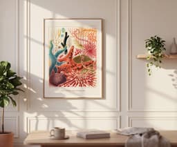 Marine Life Wall Art Print, Saville-Kent, Vintage, Living Room Coastal Decor, Blue Fine Art Print - The Great Barrier Reef of Australia 7