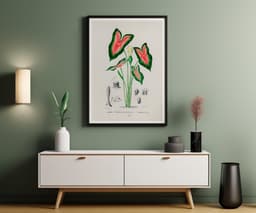 Elephant Ear Plant Print, D'Orbigny Vintage Botanical Flower, Vintage Foliage Art, Tropical Wall Decor, Floral Wall Art 5