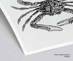 Vintage Crab Illustration Print, Charles D'Orbigny Marine Art, Black White Coastal Decor 9