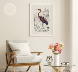 Heron Wall Art Print, Vintage Purple Heron Illustration, Charles Dessalines D'Orbigny 1892, Coastal Bird Decor, Giclée Fine Art Print 6