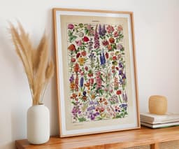 Floral Wall Art Print, Vintage Botanical Illustration, Adolphe Millot Flowers, Colourful Flower Decor, Giclée Fine Art Print 4