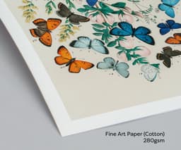 Vintage Butterfly Wall Art Print, European Butterflies Botanical Illustration, Nature Decor, Living Room, Fine Art Print 4