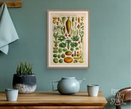 Vintage Botanical Print, Adolphe Millot Vegetables, Kitchen Decor Fine Art 5
