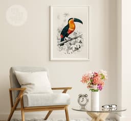 Vintage ‘Toucan du Para’ Print for Wall, Charles Dessalines Botanical Wall Art 6